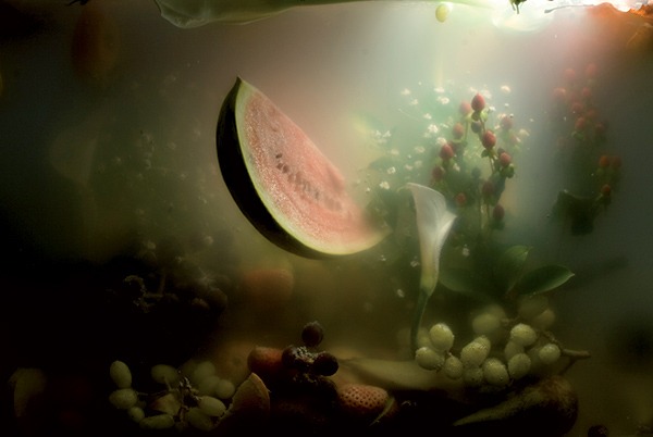 VINCENT OLINET, Je ne peux pas faire de miracles, 2014