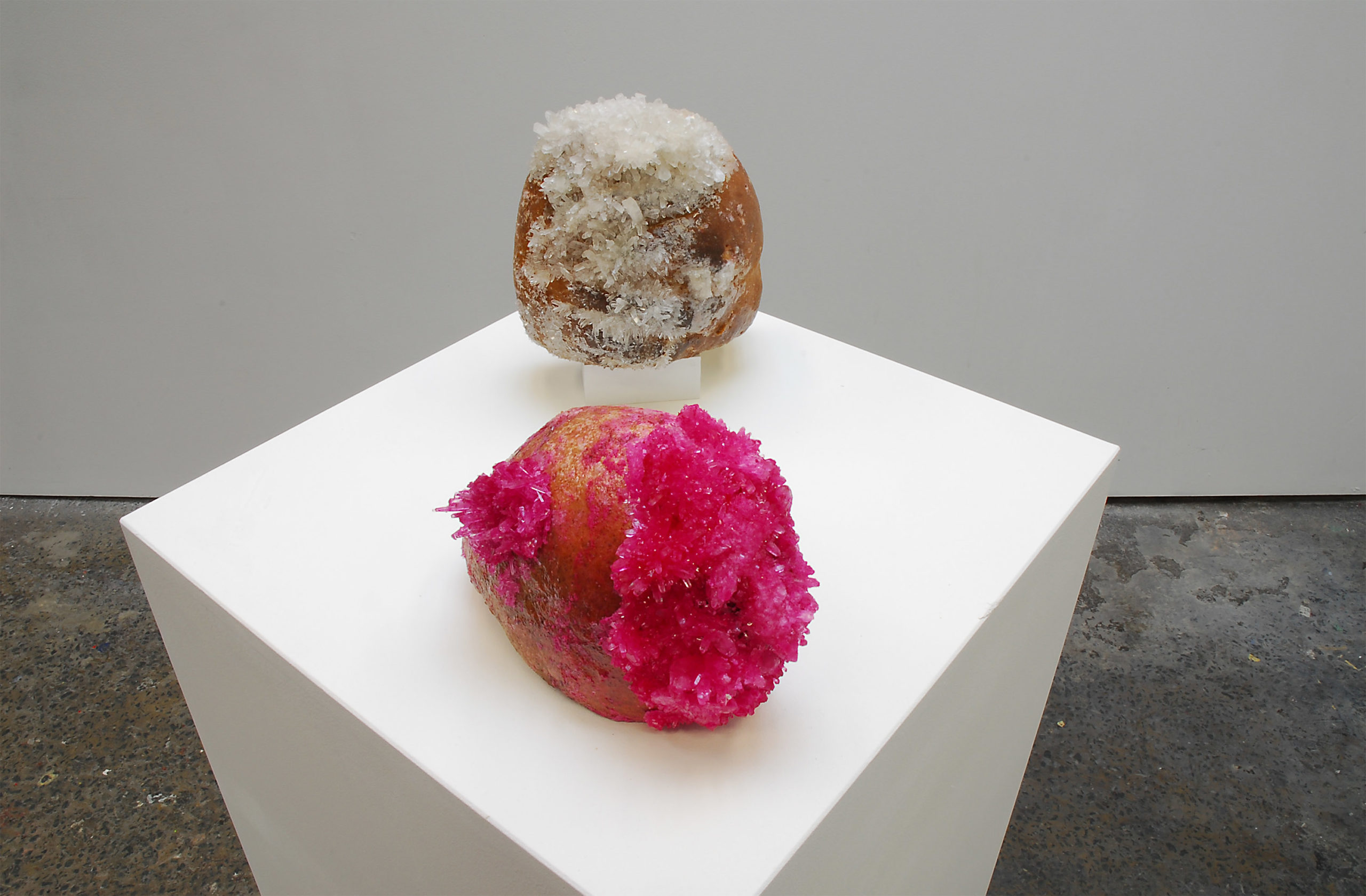 Sookoon Ang, YOUR LOVE IS LIKE A CHUNK OF GOLD (coral, proenneke), 2013 Bread, monoammonium phosphate