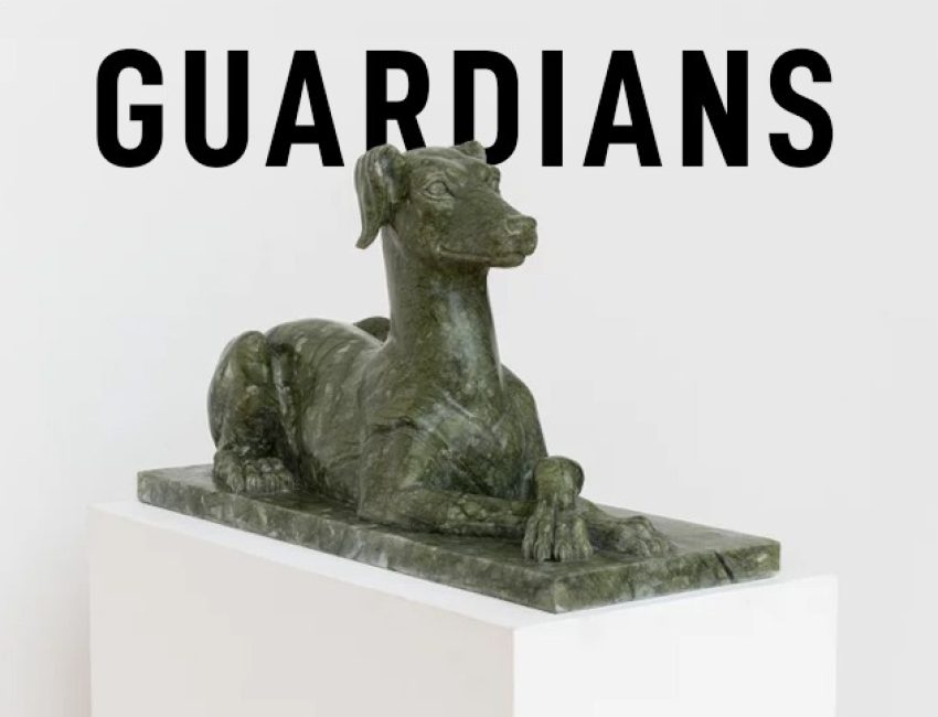guardians_banner_email newsletter